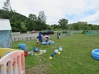 IMG_0092.jpg