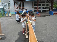 IMG_0229.jpg