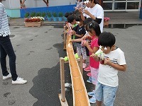 IMG_0232.jpg