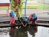 IMG_0302.jpg