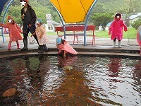 IMG_0305.jpg