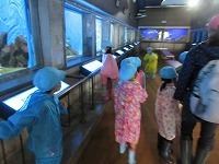 IMG_0308.jpg