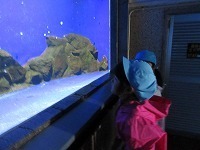 IMG_0318.jpg
