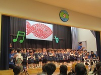 IMG_0331.jpg
