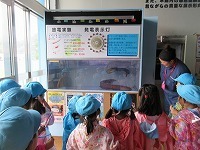 IMG_0334.jpg