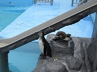 IMG_0347.jpg