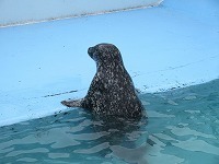IMG_0354.jpg