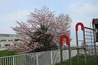 IMG_0750.jpg