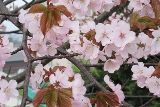 IMG_0755.jpg