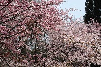 IMG_0813.jpg