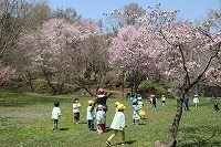 IMG_0815.jpg