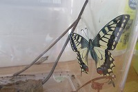 IMG_0866.jpg