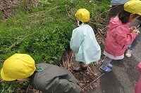 IMG_0881.jpg