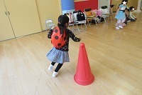 IMG_0926.jpg