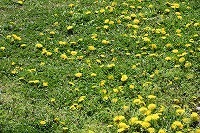 IMG_0948.jpg