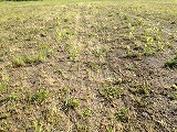 IMG_0978.jpg