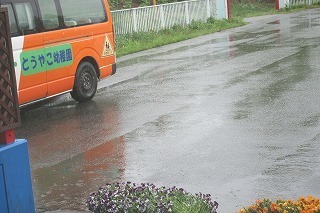 IMG_1035.jpg