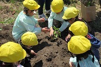 IMG_1039.jpg
