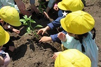 IMG_1040.jpg