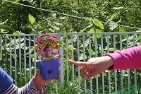 IMG_1077.jpg