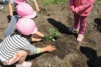 IMG_1084.jpg