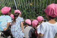 IMG_1103.jpg