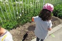 IMG_1104.jpg