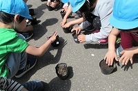 IMG_1179.jpg
