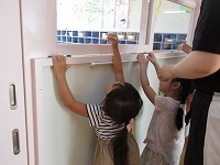 IMG_1196.jpg