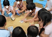 IMG_1411.jpg