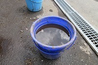 IMG_1440.jpg