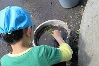 IMG_1443.jpg