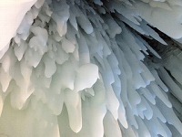 IMG_1577.jpg