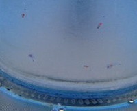 IMG_1589.jpg