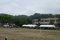 IMG_1649.jpg