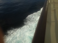 IMG_1678.jpg