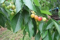 IMG_1734.jpg