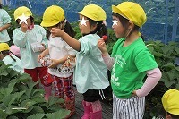 IMG_1738.jpg
