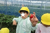 IMG_1739.jpg