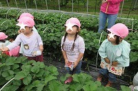 IMG_1742.jpg