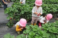 IMG_1760.jpg