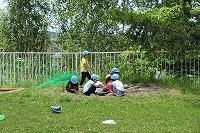 IMG_1781.jpg