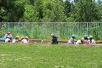IMG_1782.jpg