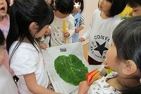 IMG_1837.jpg