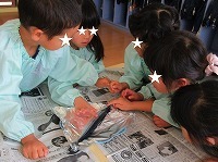 IMG_1875.jpg