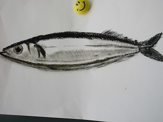 IMG_1880.jpg