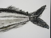 IMG_1881.jpg