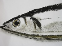 IMG_1882.jpg