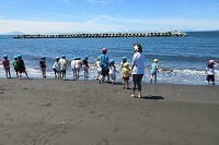 IMG_2085.jpg