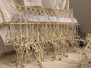 IMG_2121.jpg